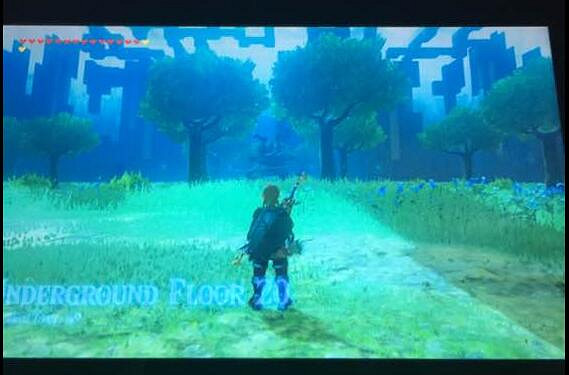 《塞爾達傳說:曠野之息》DLC最高難度劍之試煉通關圖文攻略 《塞爾達傳說:曠野之息》DLC最高難度劍之試煉通關圖文攻略