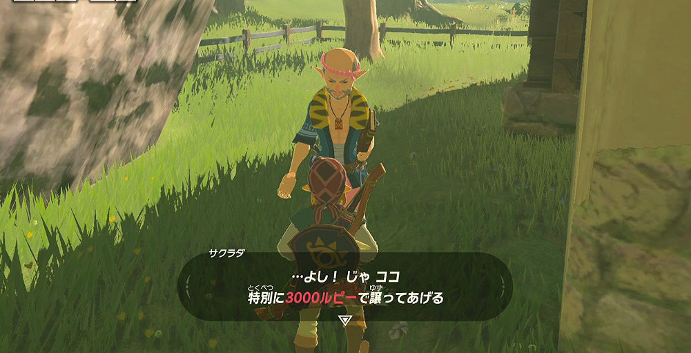 《塞爾達傳說：曠野之息》如何獲得自己的房子？