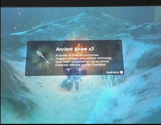 《塞爾達傳說:曠野之息》DLC最高難度劍之試煉通關圖文攻略 《塞爾達傳說:曠野之息》DLC最高難度劍之試煉通關圖文攻略