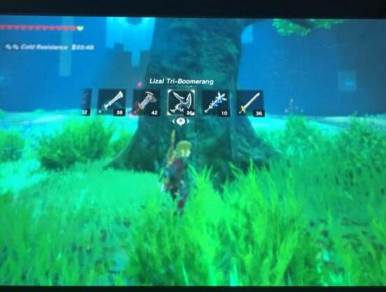 《塞爾達傳說:曠野之息》DLC最高難度劍之試煉通關圖文攻略 《塞爾達傳說:曠野之息》DLC最高難度劍之試煉通關圖文攻略