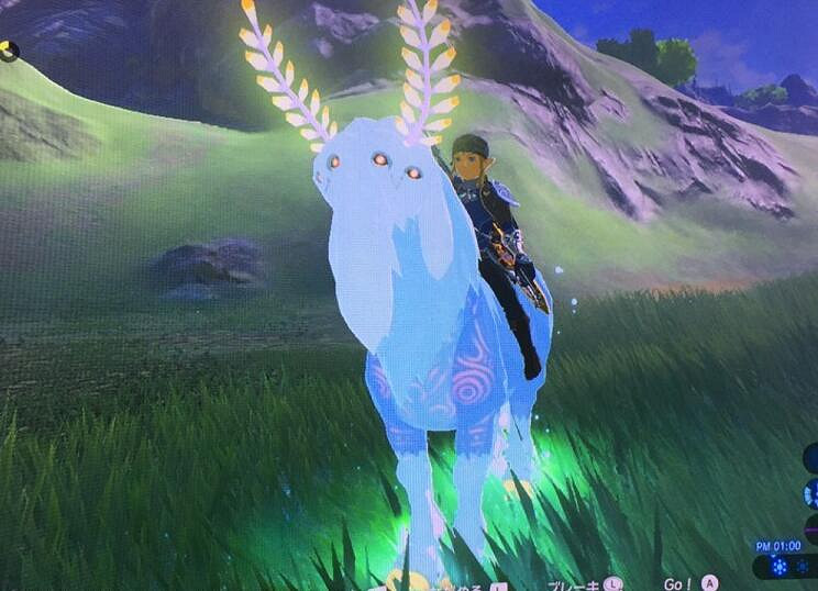 《塞爾達傳說：野之息》最強馬山主位置及抓取方法攻略