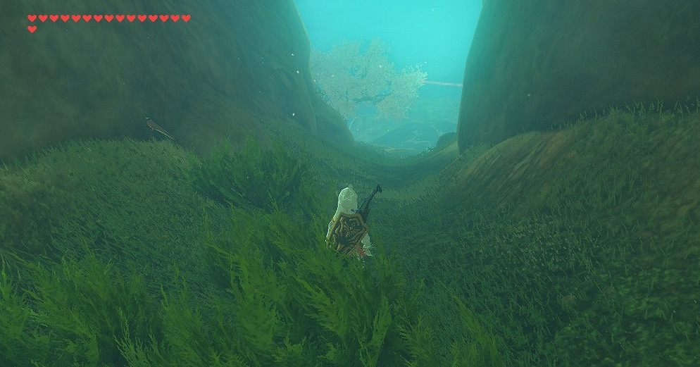 《塞爾達傳說:曠野之息》坐騎系統解析 《塞爾達傳說:曠野之息》坐騎系統解析