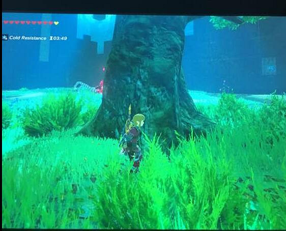 《塞爾達傳說:曠野之息》DLC最高難度劍之試煉通關圖文攻略 《塞爾達傳說:曠野之息》DLC最高難度劍之試煉通關圖文攻略