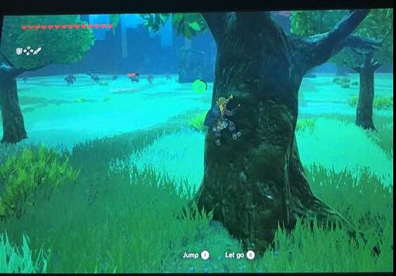 《塞爾達傳說:曠野之息》DLC最高難度劍之試煉通關圖文攻略 《塞爾達傳說:曠野之息》DLC最高難度劍之試煉通關圖文攻略