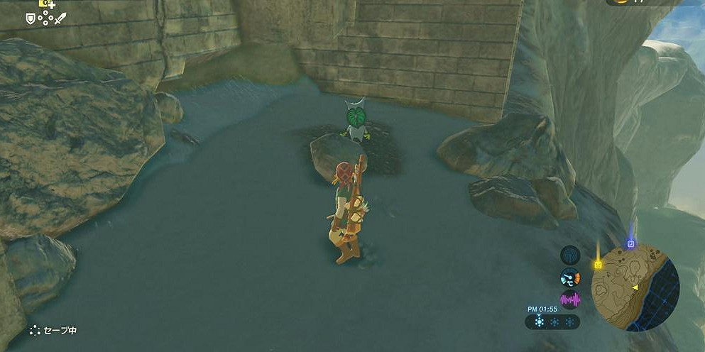 《塞爾達傳說:曠野之息》中央海拉爾地區種子收集圖文攻略 《塞爾達傳說:曠野之息》中央海拉爾地區種子收集圖文攻略