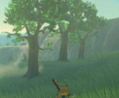 《塞爾達傳說：曠野之息》蘋果樹無法匹配蘋果怎麽辦？