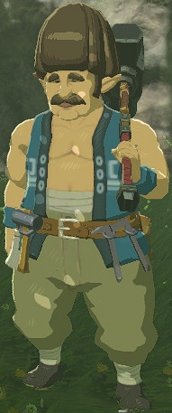 《塞爾達傳說:曠野之息》曆代傳統設定詳解 《塞爾達傳說:曠野之息》曆代傳統設定詳解