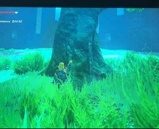 《塞爾達傳說:曠野之息》DLC最高難度劍之試煉通關圖文攻略 《塞爾達傳說:曠野之息》DLC最高難度劍之試煉通關圖文攻略