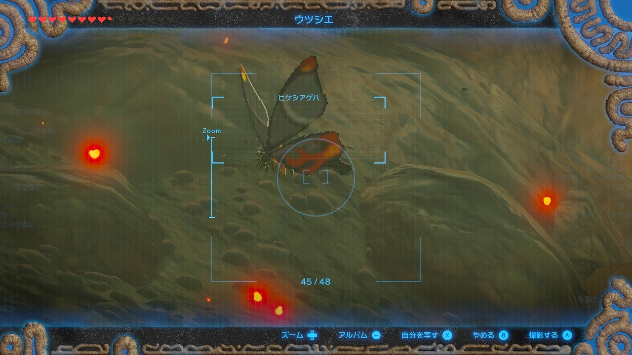 《塞爾達傳說:曠野之息》部分緊缺素材高效率收集方法匯總 《塞爾達傳說:曠野之息》部分緊缺素材高效率收集方法匯總