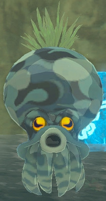 《塞爾達傳說:曠野之息》曆代傳統設定詳解 《塞爾達傳說:曠野之息》曆代傳統設定詳解