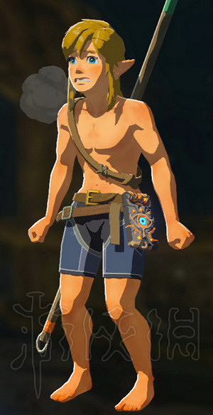 《塞爾達傳說：曠野之息》套裝攻略 正常流程能獲得哪些套裝？