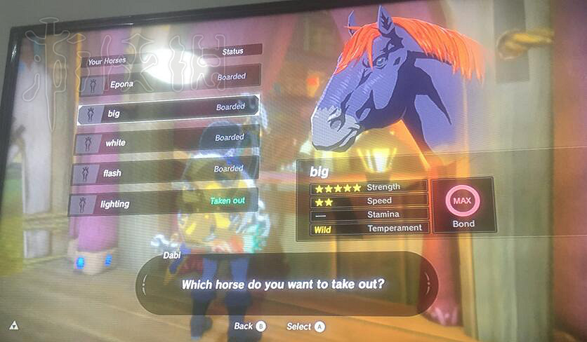 《塞爾達傳說：曠野之息》最好性能的馬分享