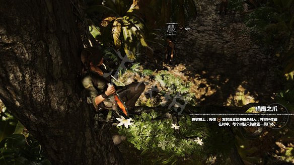 《古墓奇兵：暗影》全流程圖文攻略：全解謎+全支線+全收集+遊戲介紹+遊戲操作