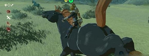 《塞爾達傳說曠野之息》馬王去哪抓 馬王任務流程