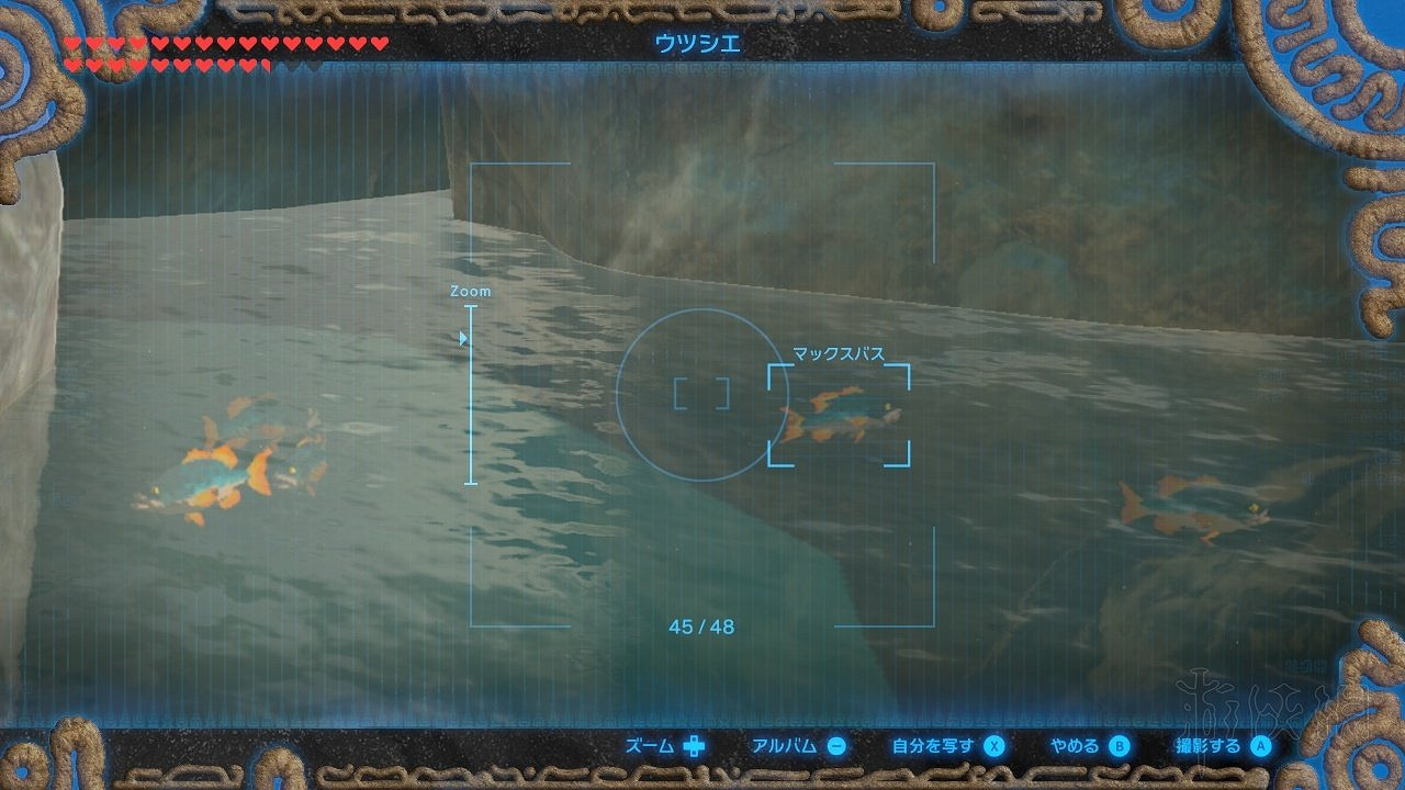 《塞爾達傳說曠野之息》稀有素材獲得方法 稀缺材料高效收集攻略 《塞爾達傳說曠野之息》稀有素材獲得方法 稀缺材料高效收集攻略