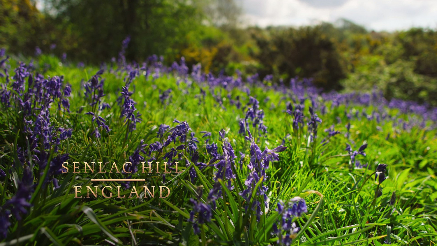 《世紀帝國4》法國保衛巴黎戰役怎麽打?法國保衛巴黎戰役打法 《世紀帝國4》法國保衛巴黎戰役怎麽打?法國保衛巴黎戰役打法