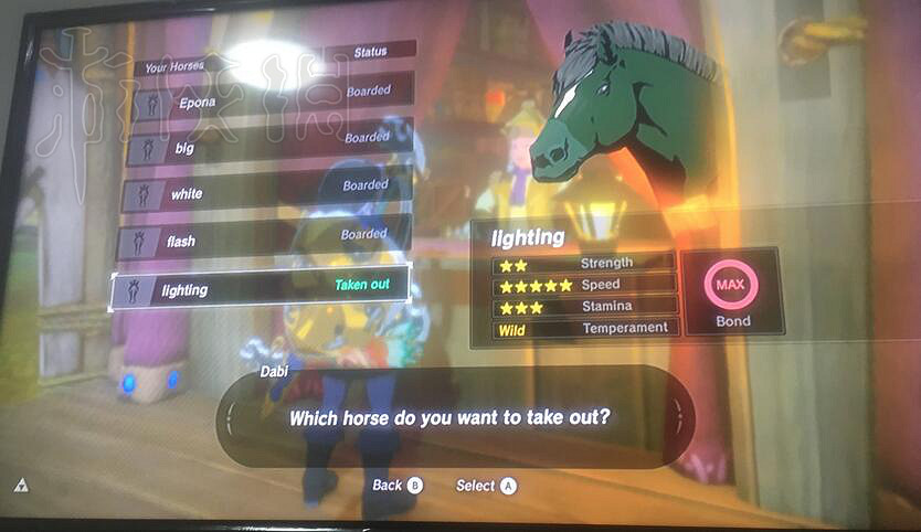 《塞爾達傳說：曠野之息》最好性能的馬分享