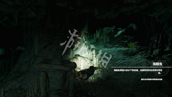 《古墓奇兵:暗影》全流程圖文攻略:全解謎+全支線+全收集+遊戲介紹+遊戲操作 《古墓奇兵:暗影》全流程圖文攻略:全解謎+全支線+全收集+遊戲介紹+遊戲操作