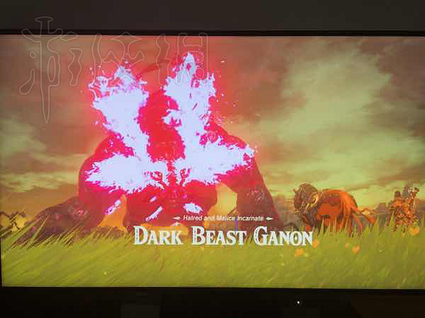 《塞爾達傳說：曠野之息》遊戲趣味截圖分享