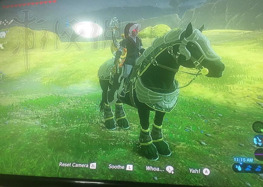 《塞爾達傳說：曠野之息》最好性能的馬分享