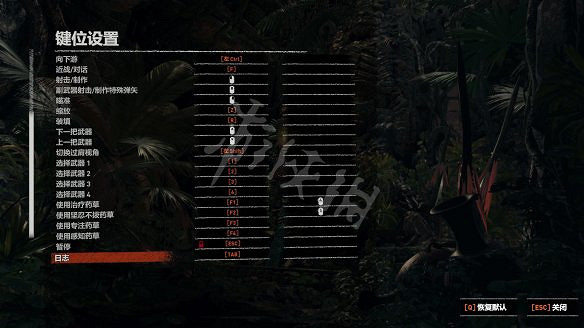 《古墓奇兵：暗影》全流程圖文攻略：全解謎+全支線+全收集+遊戲介紹+遊戲操作