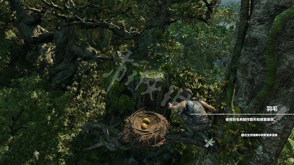 《古墓奇兵:暗影》全流程圖文攻略:全解謎+全支線+全收集+遊戲介紹+遊戲操作 《古墓奇兵:暗影》全流程圖文攻略:全解謎+全支線+全收集+遊戲介紹+遊戲操作