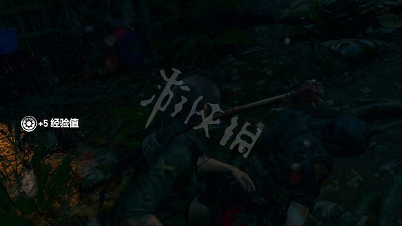 《古墓奇兵：暗影》全流程圖文攻略：全解謎+全支線+全收集+遊戲介紹+遊戲操作