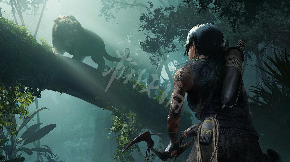 《古墓奇兵:暗影》難度模式對比分析 有哪些難度模式? 《古墓奇兵:暗影》難度模式對比分析 有哪些難度模式?