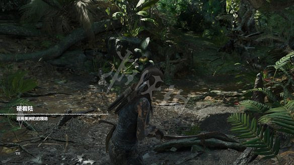 《古墓奇兵：暗影》全流程圖文攻略：全解謎+全支線+全收集+遊戲介紹+遊戲操作