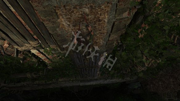 《古墓奇兵：暗影》全流程圖文攻略：全解謎+全支線+全收集+遊戲介紹+遊戲操作