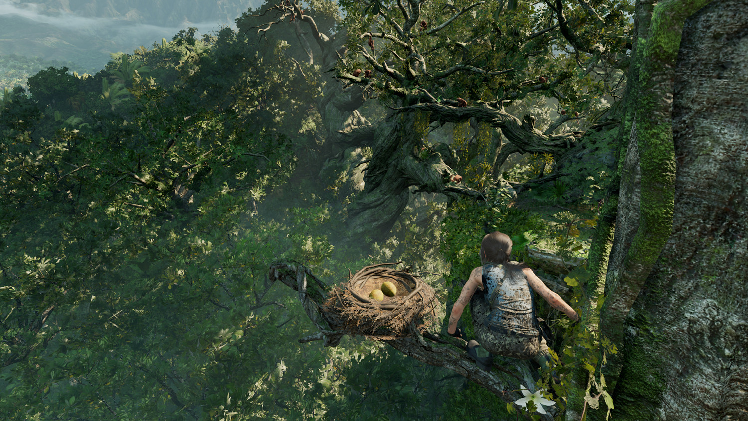 《古墓奇兵暗影》畫面及操作難度試玩評價 遊戲性如何? 《古墓奇兵暗影》畫面及操作難度試玩評價 遊戲性如何?