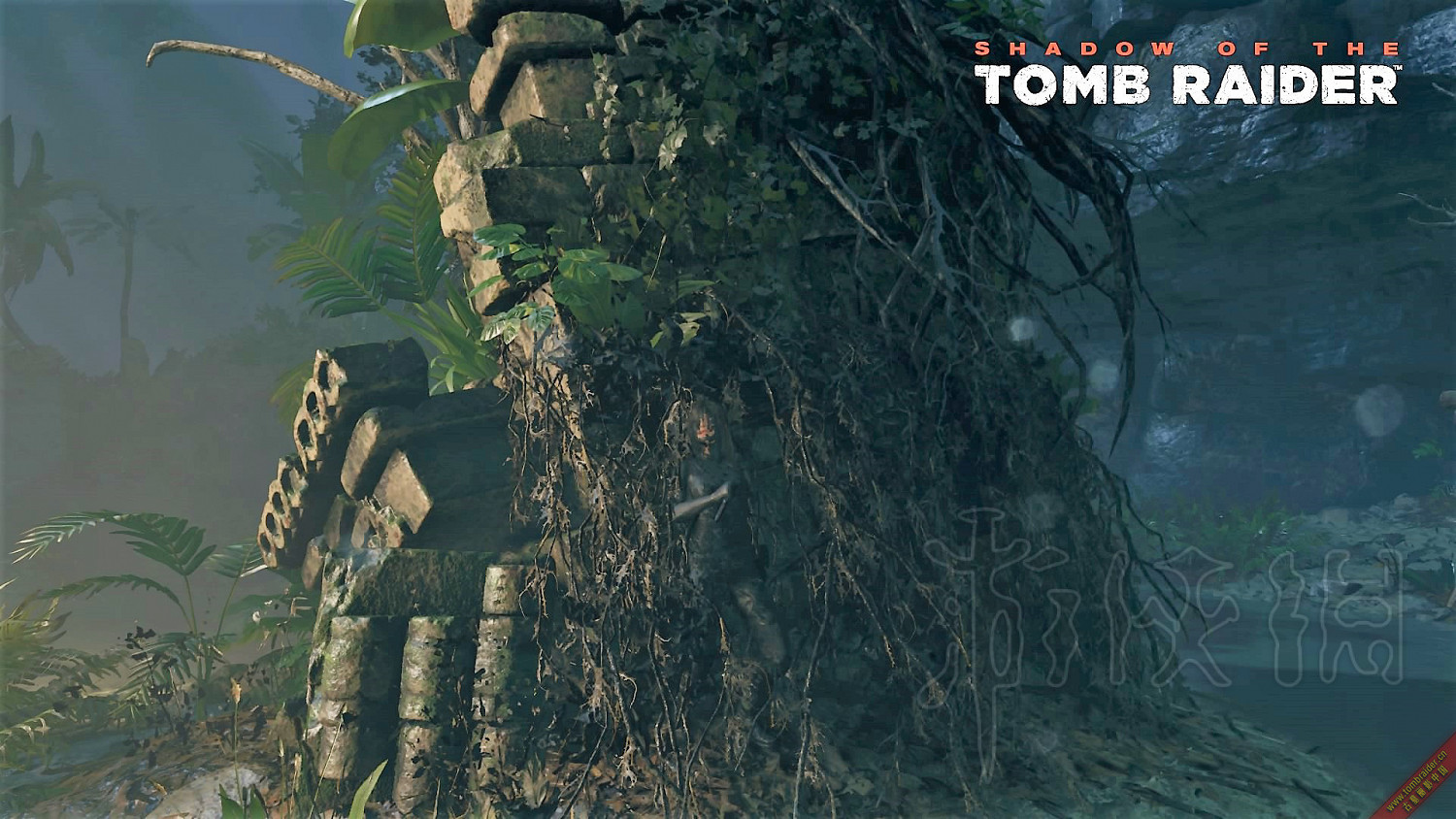 《古墓奇兵暗影》遊戲評測分享 遊戲怎麽樣? 《古墓奇兵暗影》遊戲評測分享 遊戲怎麽樣?