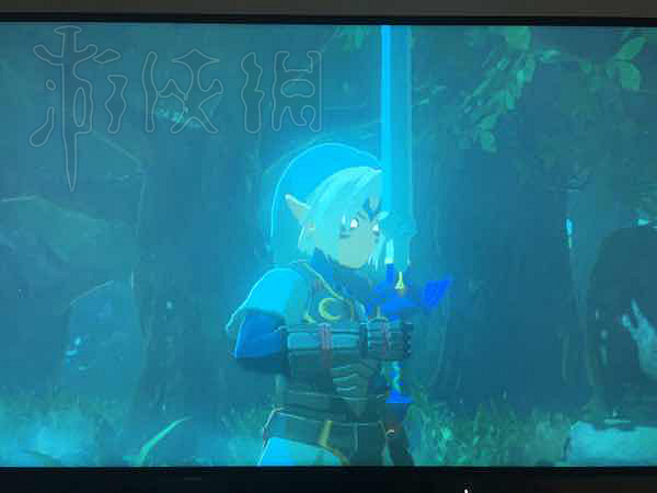 《塞爾達傳說：曠野之息》遊戲趣味截圖分享