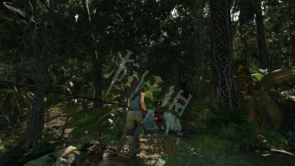 《古墓奇兵:暗影》全流程圖文攻略:全解謎+全支線+全收集+遊戲介紹+遊戲操作 《古墓奇兵:暗影》全流程圖文攻略:全解謎+全支線+全收集+遊戲介紹+遊戲操作