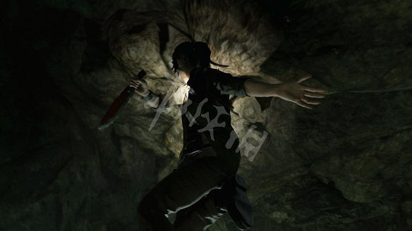 《古墓奇兵：暗影》全流程圖文攻略：全解謎+全支線+全收集+遊戲介紹+遊戲操作