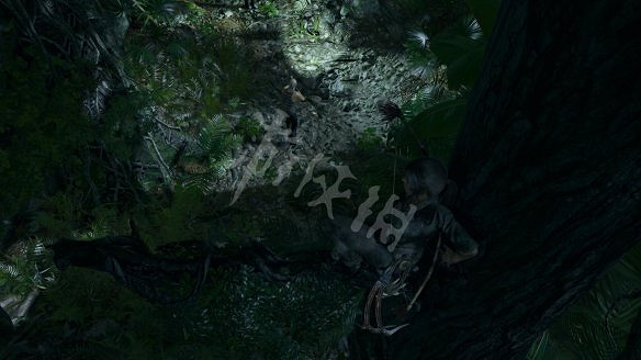 《古墓奇兵：暗影》全流程圖文攻略：全解謎+全支線+全收集+遊戲介紹+遊戲操作