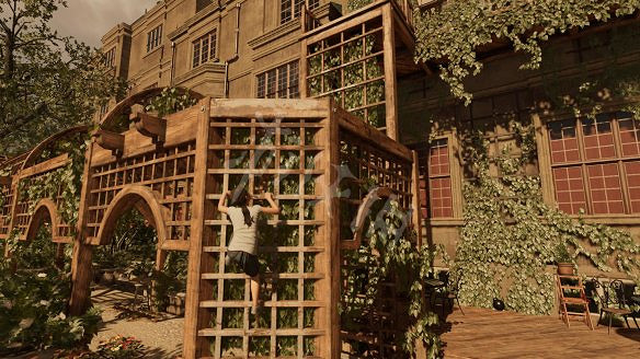 《古墓奇兵：暗影》全流程圖文攻略：全解謎+全支線+全收集+遊戲介紹+遊戲操作