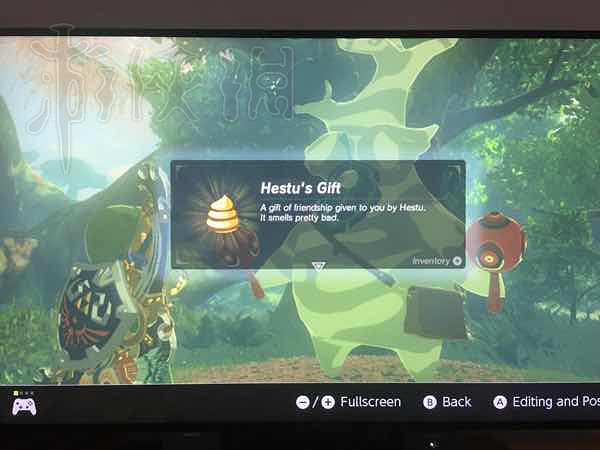 《塞爾達傳說：曠野之息》遊戲趣味截圖分享