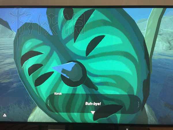 《塞爾達傳說：曠野之息》遊戲趣味截圖分享