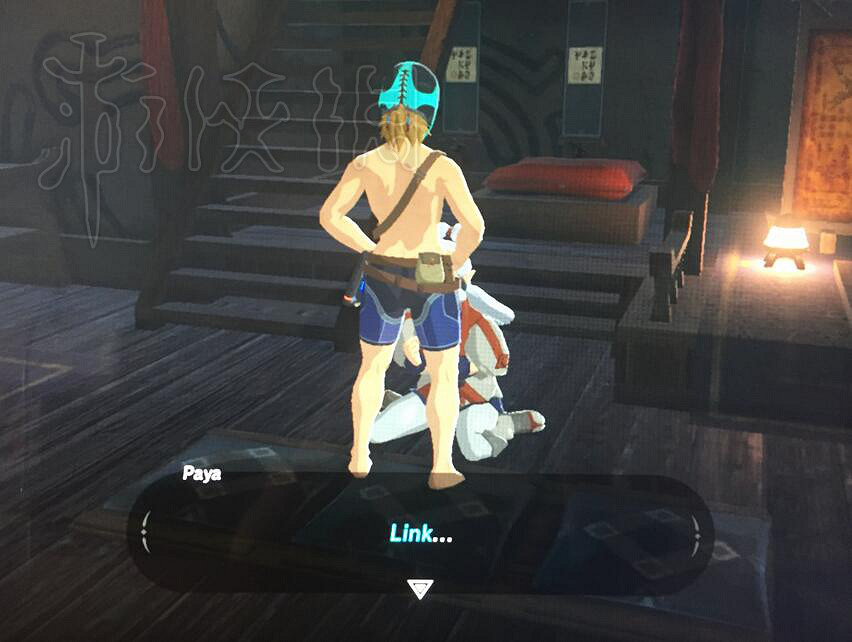 《塞爾達傳說：曠野之息》遊戲趣味截圖分享