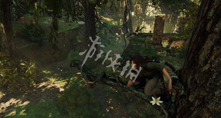 《古墓奇兵暗影》技能點在哪裡刷？初期刷技能點位置推薦