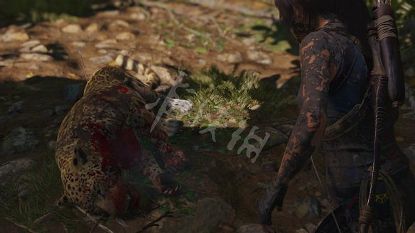 《古墓奇兵：暗影》全流程圖文攻略：全解謎+全支線+全收集+遊戲介紹+遊戲操作