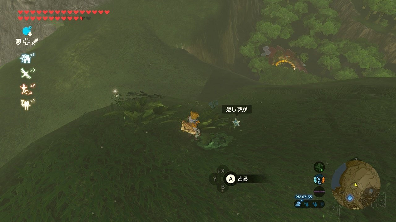 《塞爾達傳說曠野之息》稀有素材獲得方法 稀缺材料高效收集攻略 《塞爾達傳說曠野之息》稀有素材獲得方法 稀缺材料高效收集攻略