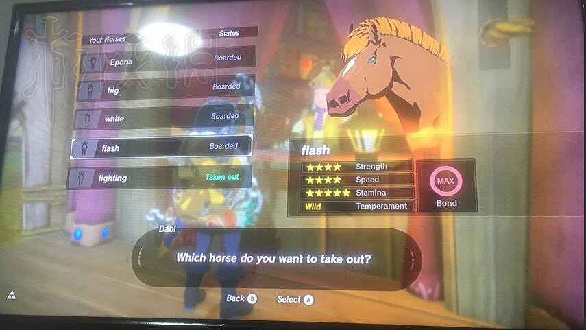 《塞爾達傳說：曠野之息》最好性能的馬分享