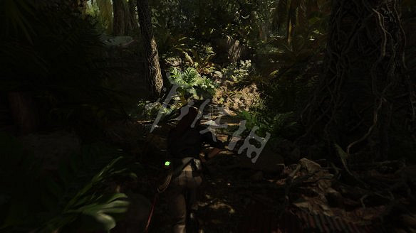 《古墓奇兵:暗影》全流程圖文攻略:全解謎+全支線+全收集+遊戲介紹+遊戲操作 《古墓奇兵:暗影》全流程圖文攻略:全解謎+全支線+全收集+遊戲介紹+遊戲操作