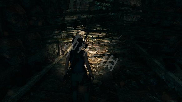 《古墓奇兵：暗影》全流程圖文攻略：全解謎+全支線+全收集+遊戲介紹+遊戲操作