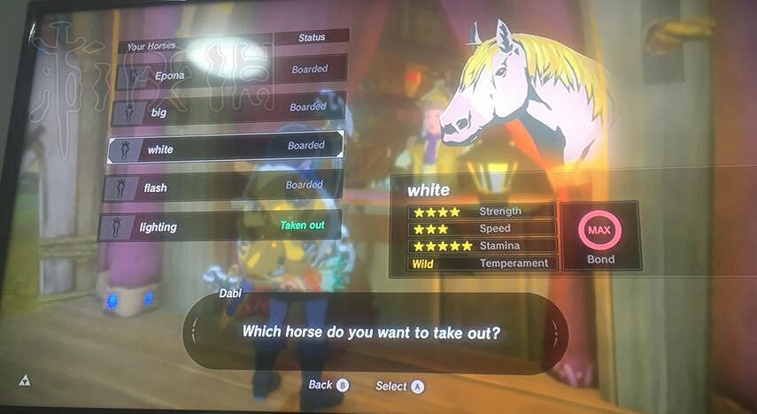 《塞爾達傳說：曠野之息》最好性能的馬分享