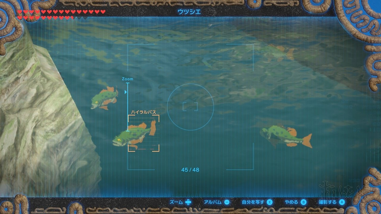 《塞爾達傳說曠野之息》稀有素材獲得方法 稀缺材料高效收集攻略 《塞爾達傳說曠野之息》稀有素材獲得方法 稀缺材料高效收集攻略