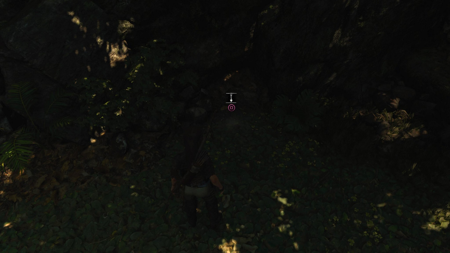 《古墓奇兵暗影》秘魯叢林收藏品在哪 秘魯叢林全地圖收集詳解