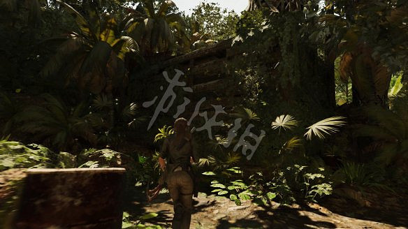 強檔 強檔